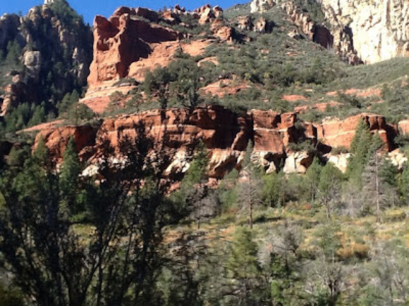 Meet your Posher, Julia - Picture 1 of 1